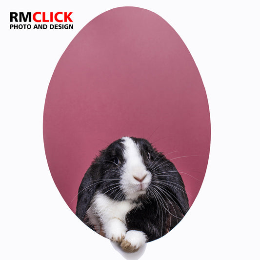 📸✨ A RMClick deseja a todos uma Feliz Páscoa! 🐰🌷